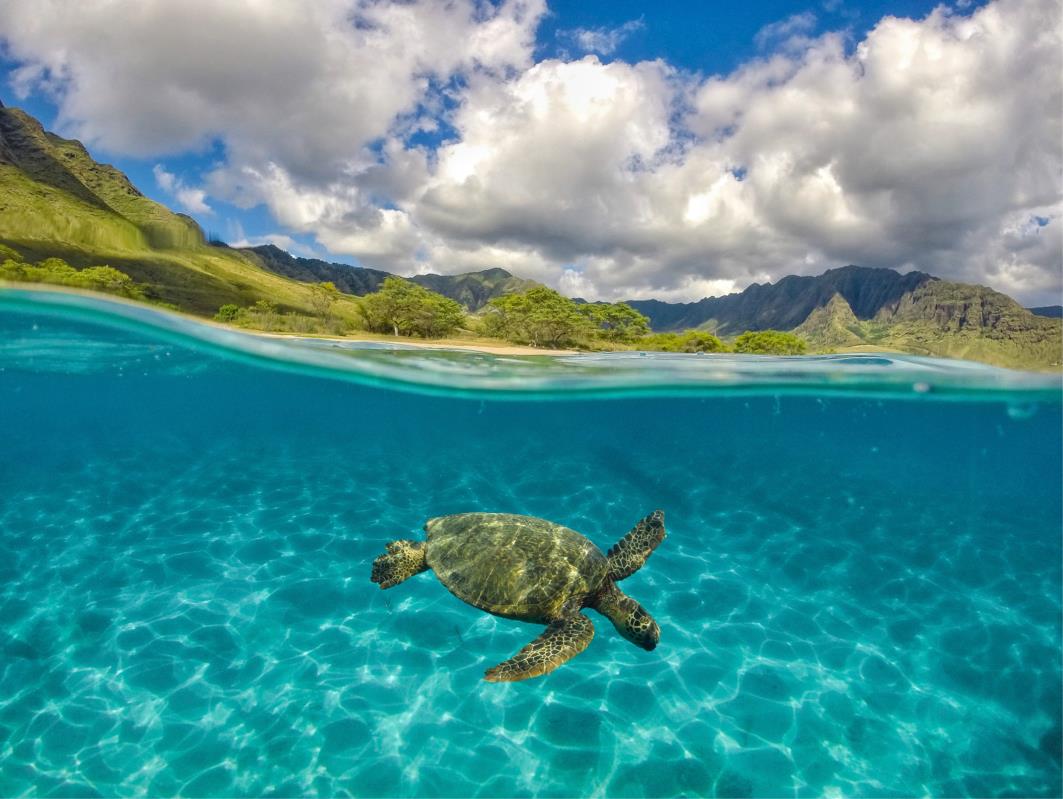ACTIVITIES snorkeling